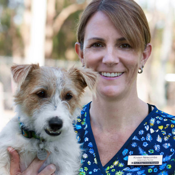 Park Ridge Animal Hospital & Browns Plains Vet Surgery