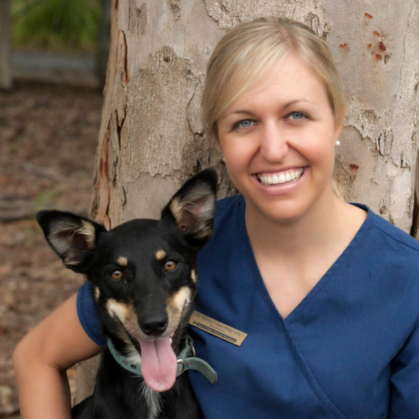 Park Ridge Animal Hospital & Browns Plains Vet Surgery