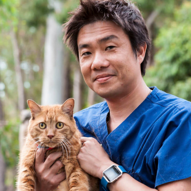 Park Ridge Animal Hospital & Browns Plains Vet Surgery