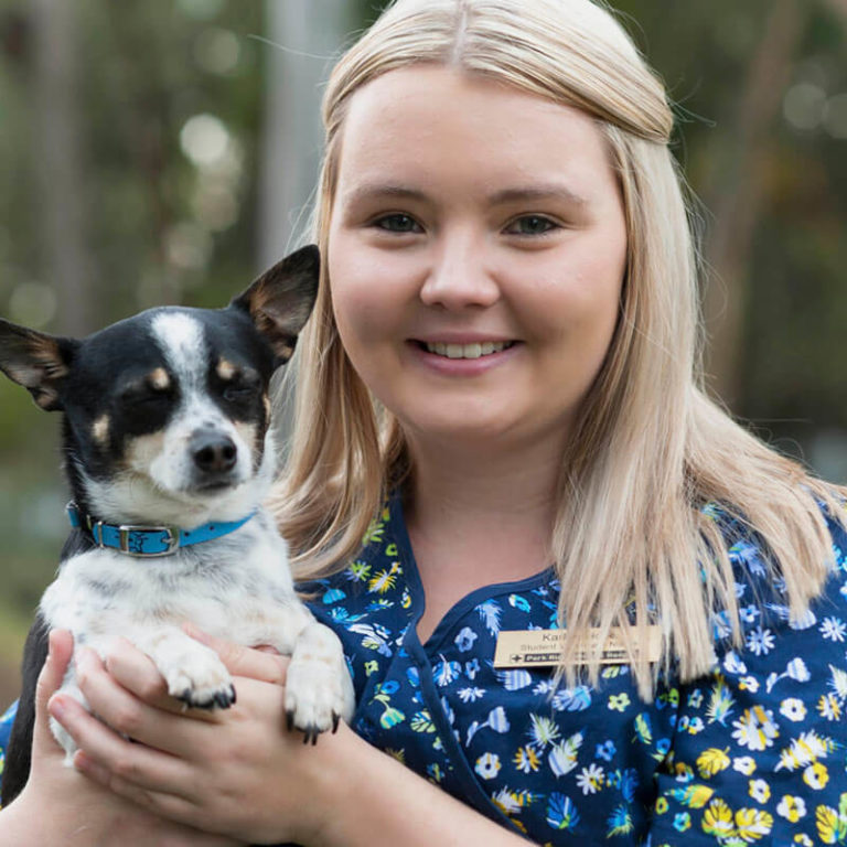 Park Ridge Animal Hospital & Browns Plains Vet Surgery