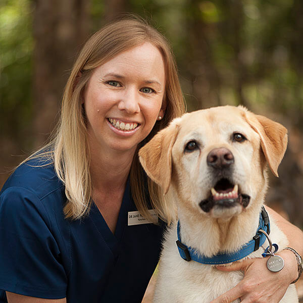 Park Ridge Animal Hospital & Browns Plains Vet Surgery