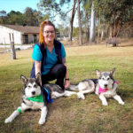 browns plains veterinary clinic