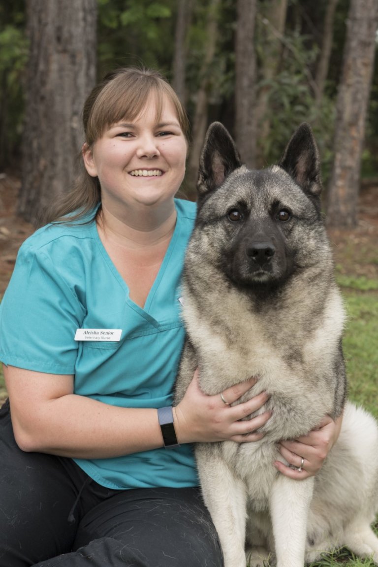 Meet Our Vet Team Park Ridge Animal Hospital