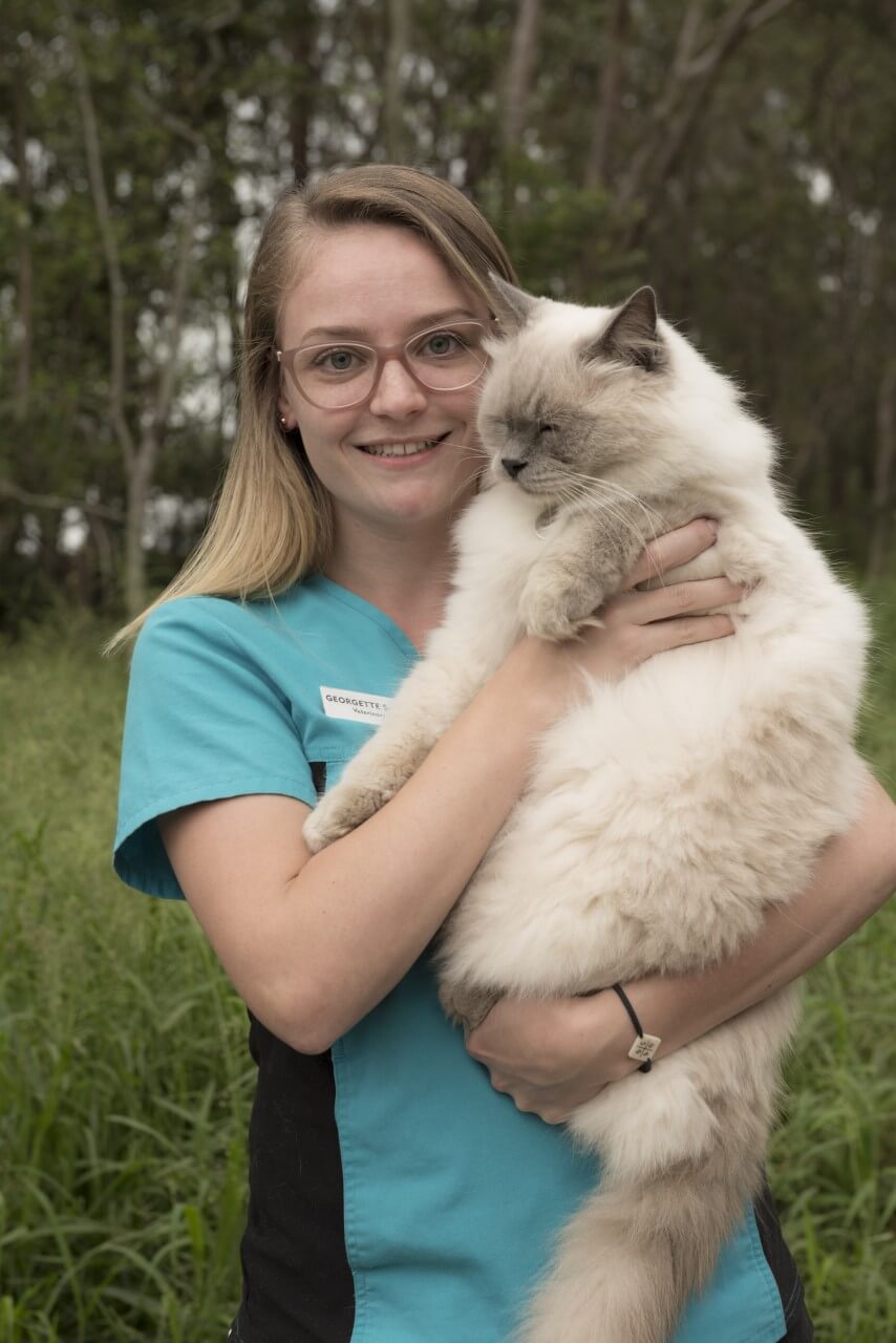 Meet Our Vet Team - Park Ridge Animal Hospital