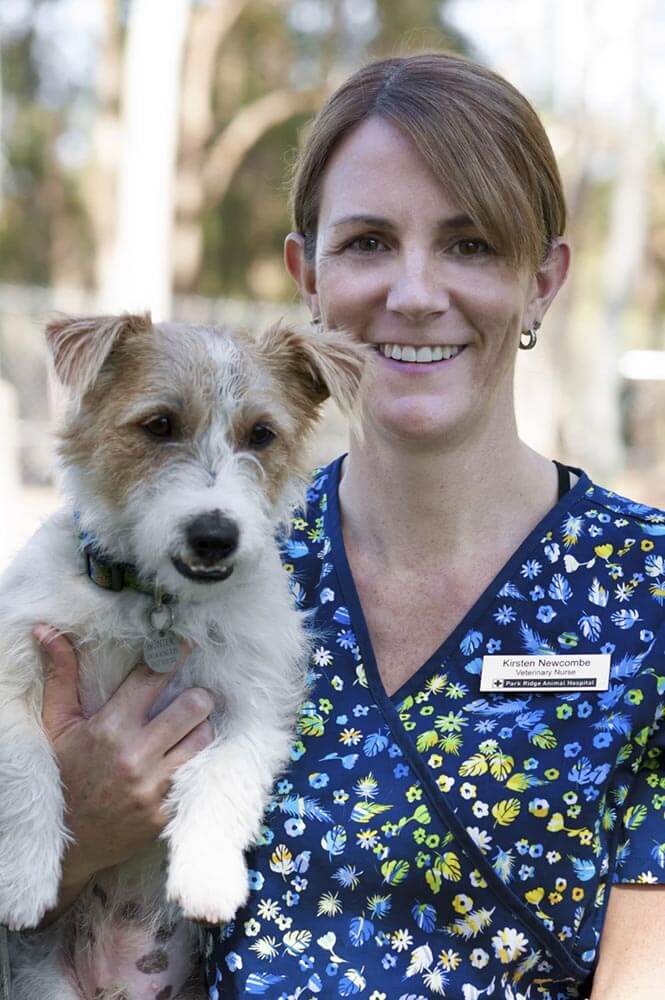 Meet Our Vet Team - Park Ridge Animal Hospital