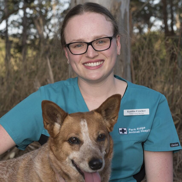 Park Ridge Animal Hospital & Browns Plains Vet Surgery