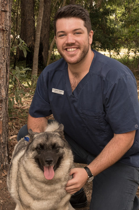 Meet Our Vet Team - Park Ridge Animal Hospital