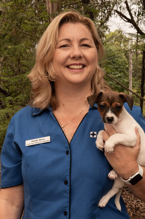 Meet Our Vet Team - Park Ridge Animal Hospital