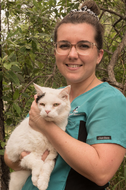 Meet Our Vet Team - Park Ridge Animal Hospital