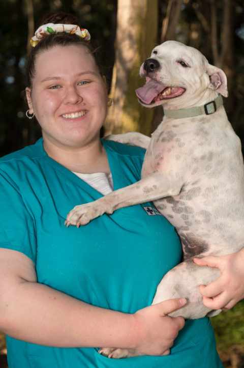 Meet Our Vet Team Park Ridge Animal Hospital