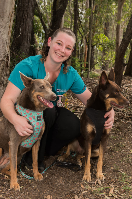 Meet Our Team at Park Ridge Animal Hospital - Nurse Aymee