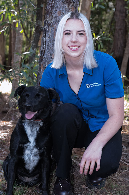 Meet Our Vet Team - Park Ridge Animal Hospital