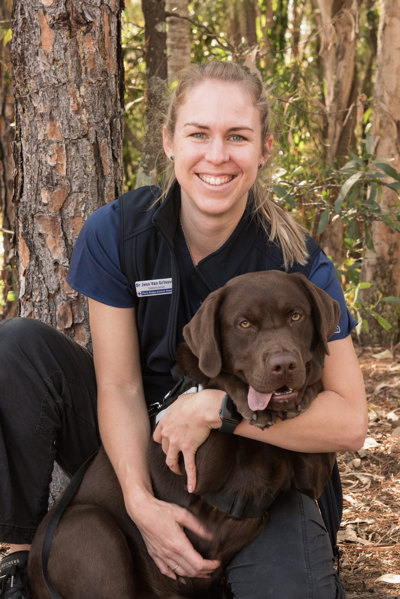 Meet Our Vet Team Park Ridge Animal Hospital