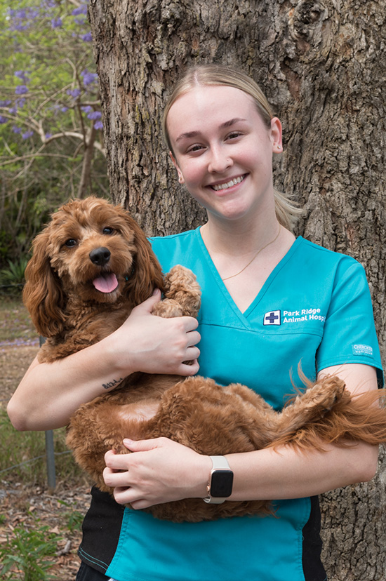 Meet Our Team at Park Ridge Animal Hospital - Sarah