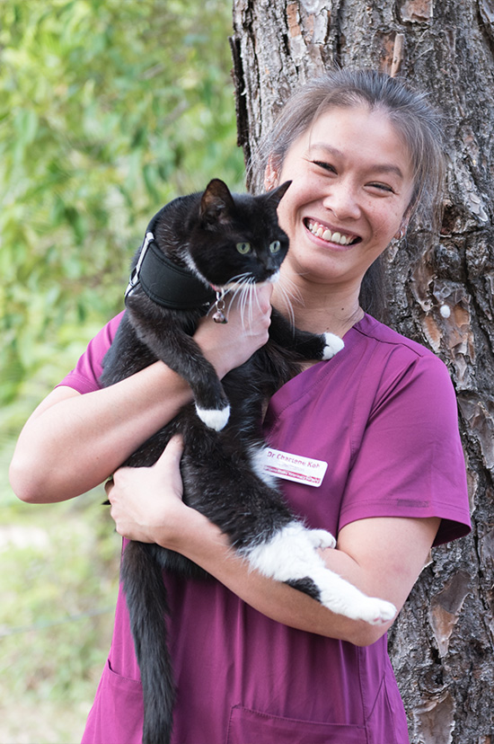 Browns Plains Vet - Meet Our Team - Dr Charlene
